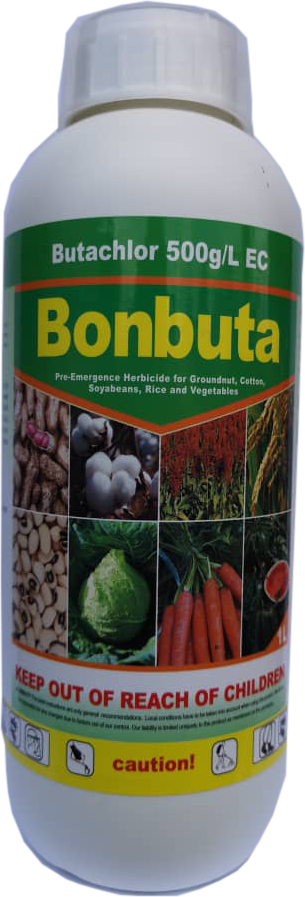 BONBUTA