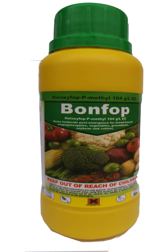 BONFOP