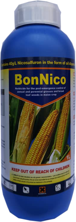 BONNICO