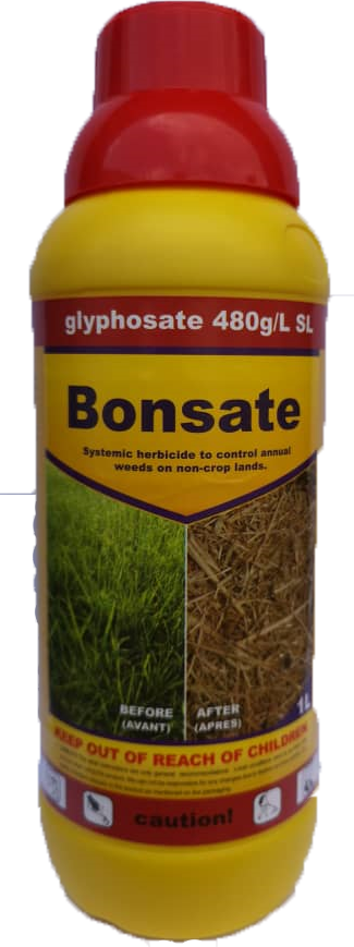 Bonsate