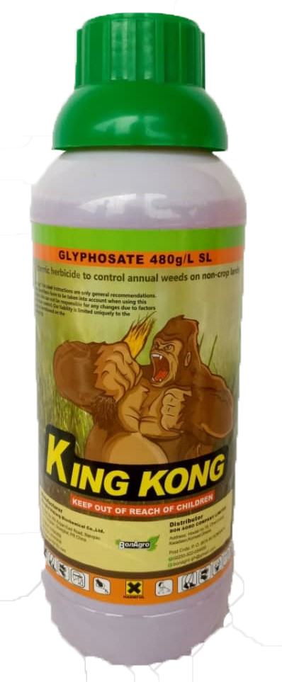 KING KONG